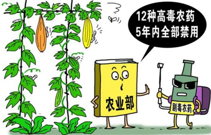 農(nóng)殘檢測儀器引導園林水果種植
