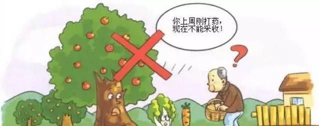  食品安全如何保證？