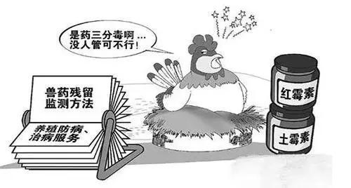 如何利用食品安全檢測儀來維護(hù)食品安全？