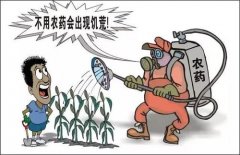 去除農(nóng)殘方法你知多少？